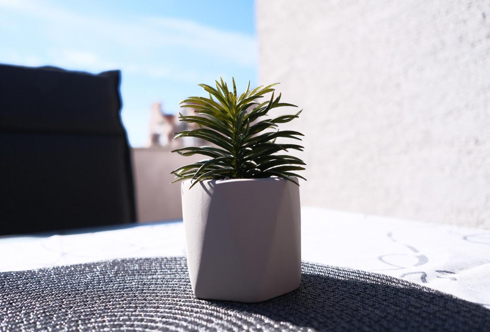 Apartament Ap Silvija Zadar Zewnętrze zdjęcie
